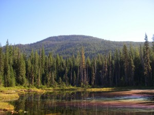 Idaho Peat Bog Idaho Peat Bog