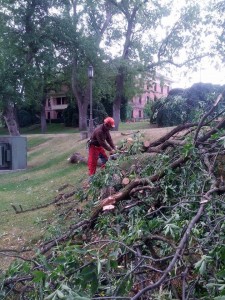 Storm Damage - UI Campus 8-13-14